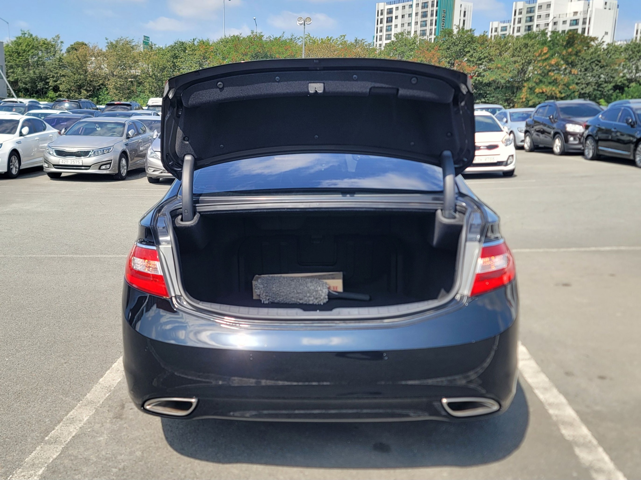 b2e350789e3bfb29fd489d4d239fac8e_1785379350_3885.jpg