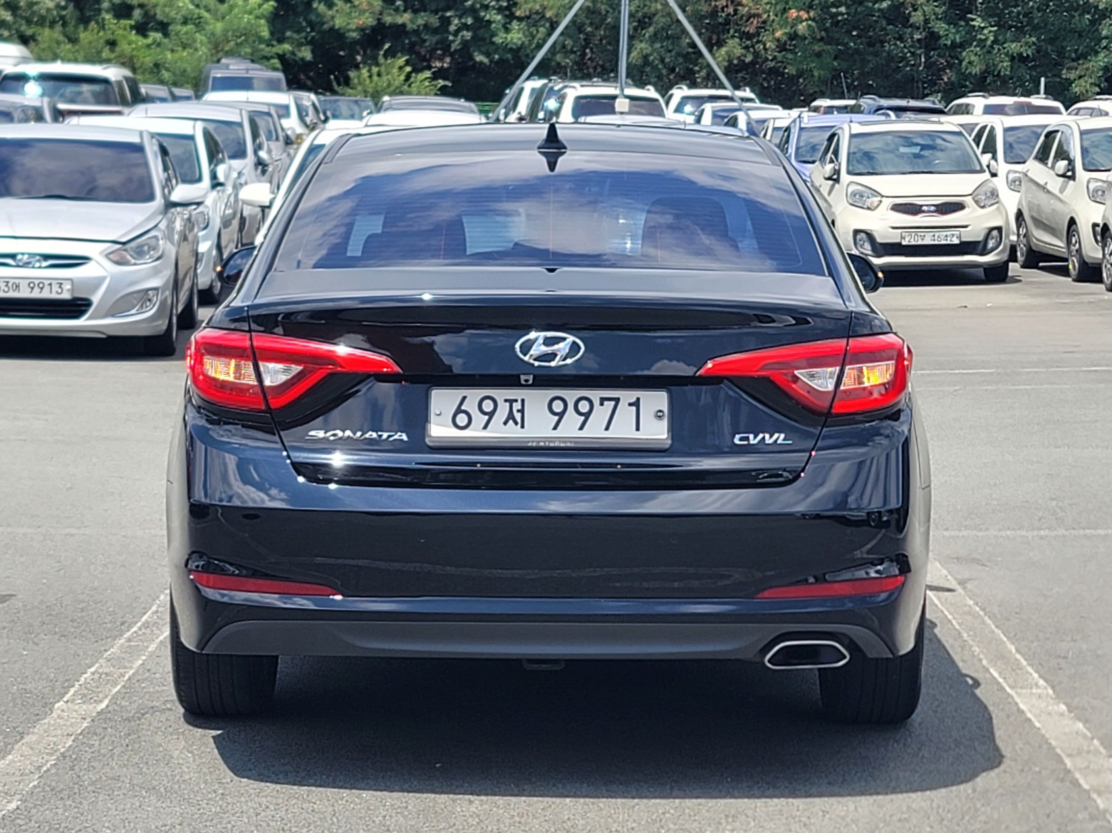 b2e350789e3bfb29fd489d4d239fac8e_1785384767_5169.jpg