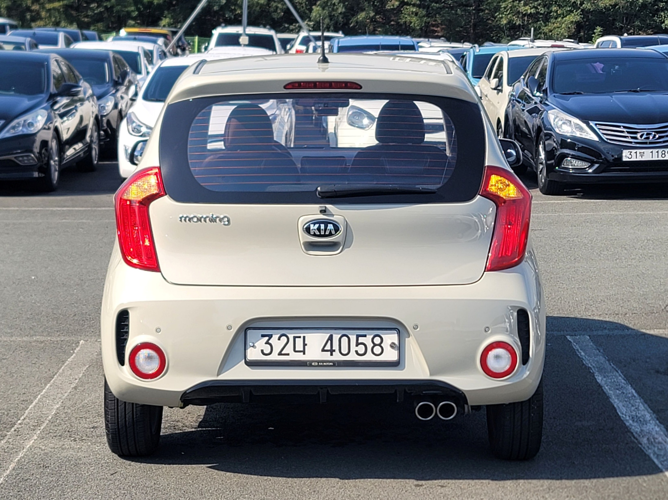 aa68cc177ba4453585f101a8b1a530d6_1792723491_0875.jpg