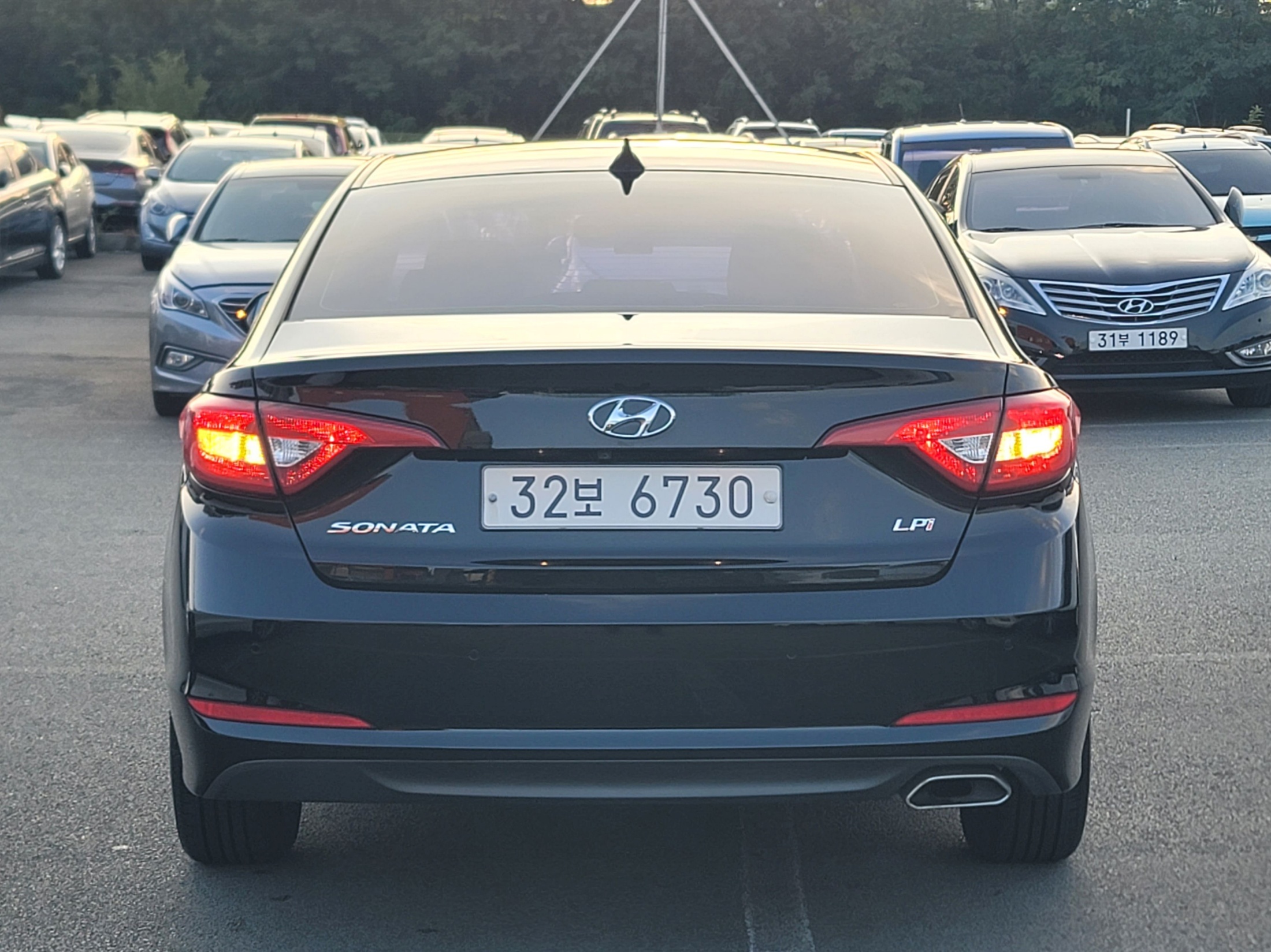 d453f24509038105fa055631e0fbd8f9_1790820137_3354.jpg d453f24509038105fa055631e0fbd8f9_1790820137_3354.jpg